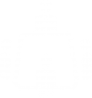 strartup consulting